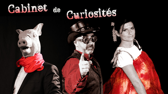 Cabinet de curiosité de Guillaume LOUIS